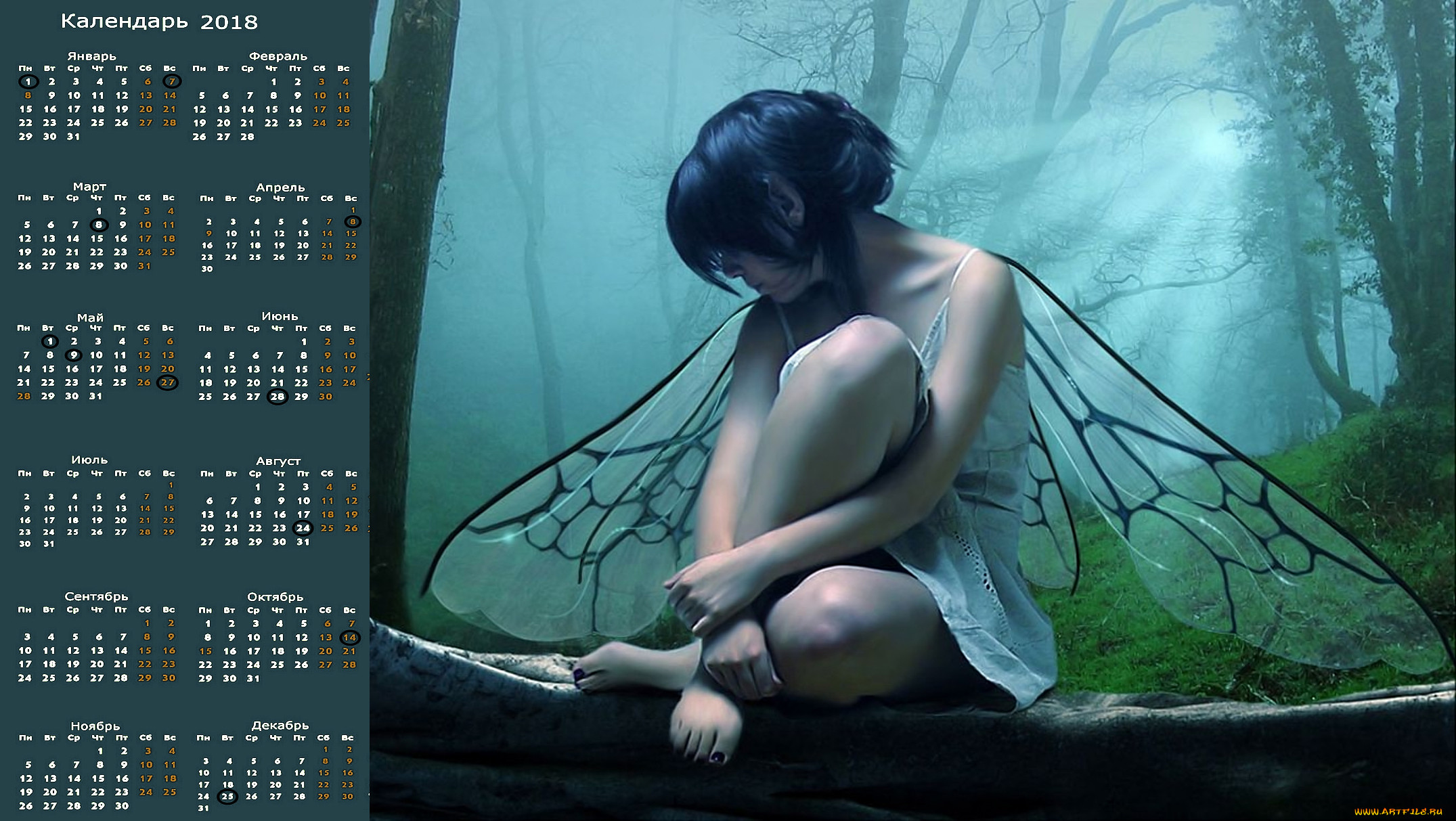 , , , , 